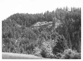 Foto 11 x 9 Eisenbahn Zug viaduct  learnig 1956